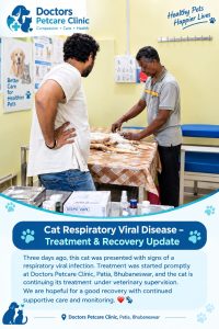 Petcare Tips